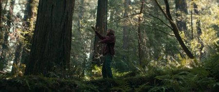 Человек – швейцарский нож (2016)