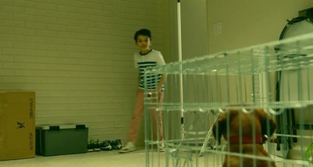 Такса (2016) Такса (2016)