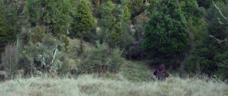 Охота на дикарей (2016)