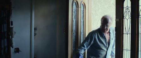 Хороший сосед (2016) Хороший сосед (2016)