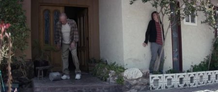 Хороший сосед (2016) Хороший сосед (2016)