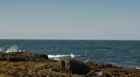 Конгрессмен (2016) Конгрессмен (2016)