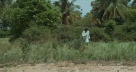 Тити (2015) Тити (2015)