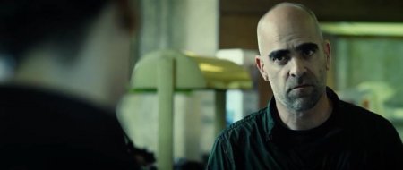 Сто лет прощения (2016) Сто лет прощения (2016)