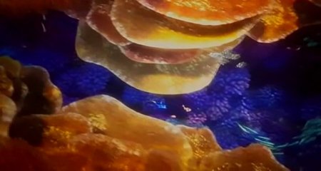 В поисках Дори (2016) В поисках Дори (2016)