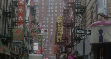 Единоличный собственник (2016) Единоличный собственник (2016)