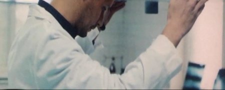 Зоология (2016)