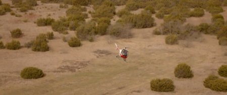 АмериГеддон (2016) АмериГеддон (2016)