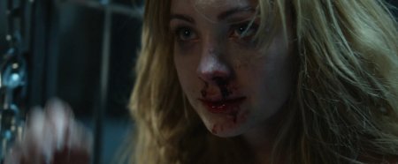 Питомец (2016) Питомец (2016)