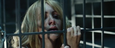 Питомец (2016) Питомец (2016)