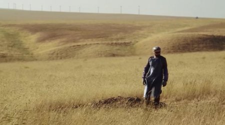 Если под нами есть ад (2016) Если под нами есть ад (2016)