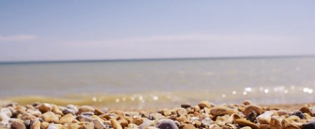 Сомнус (2016) Сомнус (2016)