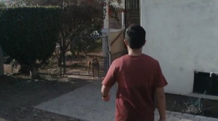 Я - гангстер (2015)