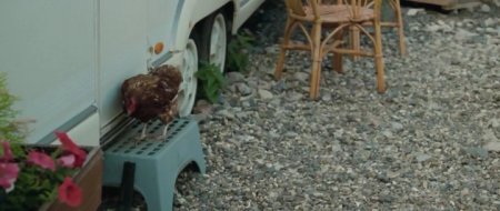 Афера по-английски (2016) Афера по-английски (2016)