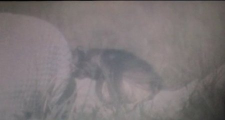 Иллюзия любви (2016) Иллюзия любви (2016)