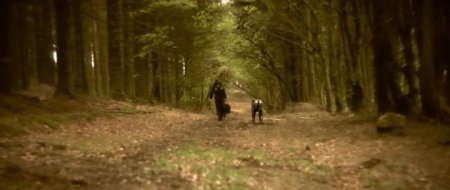 Мир роботов (2015) Мир роботов (2015)