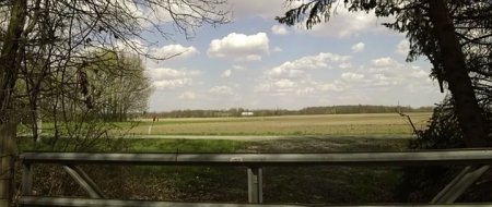 Город клоунов (2016) Город клоунов (2016)