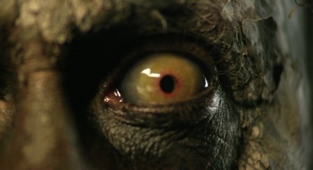 Демон дерева (2016) Демон дерева (2016)