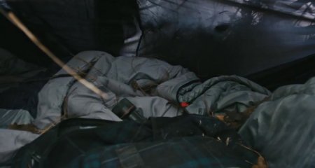 Демон дерева (2016) Демон дерева (2016)