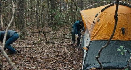 Демон дерева (2016) Демон дерева (2016)