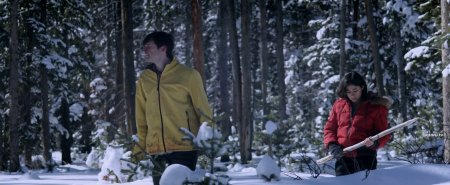 Зов волка (2016)