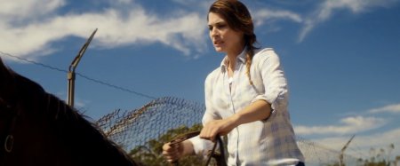 Одичавший (2017)