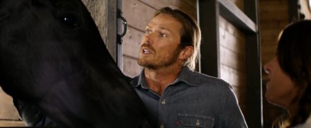 Одичавший (2017)