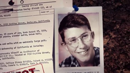 Производители солнечного света (2015) Производители солнечного света (2015)