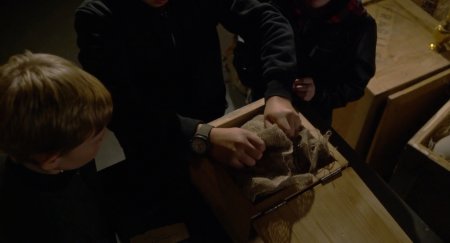 Клуб приключений (2017) Клуб приключений (2017)