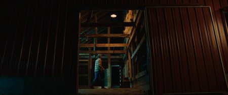 Американская басня (2016) Американская басня (2016)