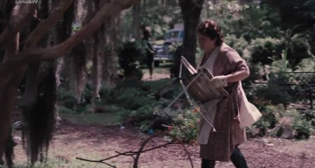 Софи и восходящее солнце. (2016) Софи и восходящее солнце. (2016)