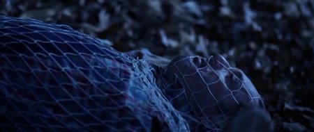 Не убивай его (2016)