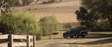 Любительница собак (2016) Любительница собак (2016)