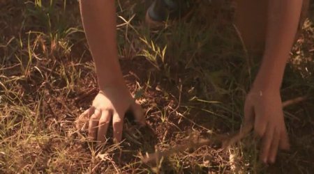 Против природы 2: Выжить в Серенгети (2016) Против природы 2: Выжить в Серенгети (2016)