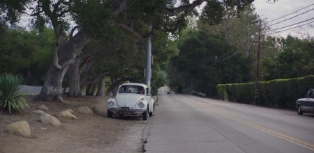 Женщины ХХ века (2016)