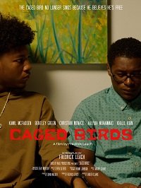 Фильм Птицы в неволе (2021)